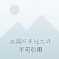 长空烬明电视剧