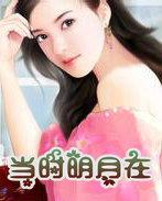当时明月在全诗