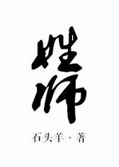 姓师的将军