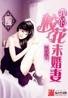 我的校花未婚妻全文阅读
