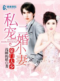 豪门二婚