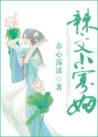 辣文小寡妇春心荡漾阅读