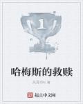 哈梅斯塔西亚王国图解