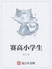 小学生赛高收费