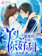 亿万盛宠只为你免费版