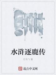 水浒逐鹿传起点